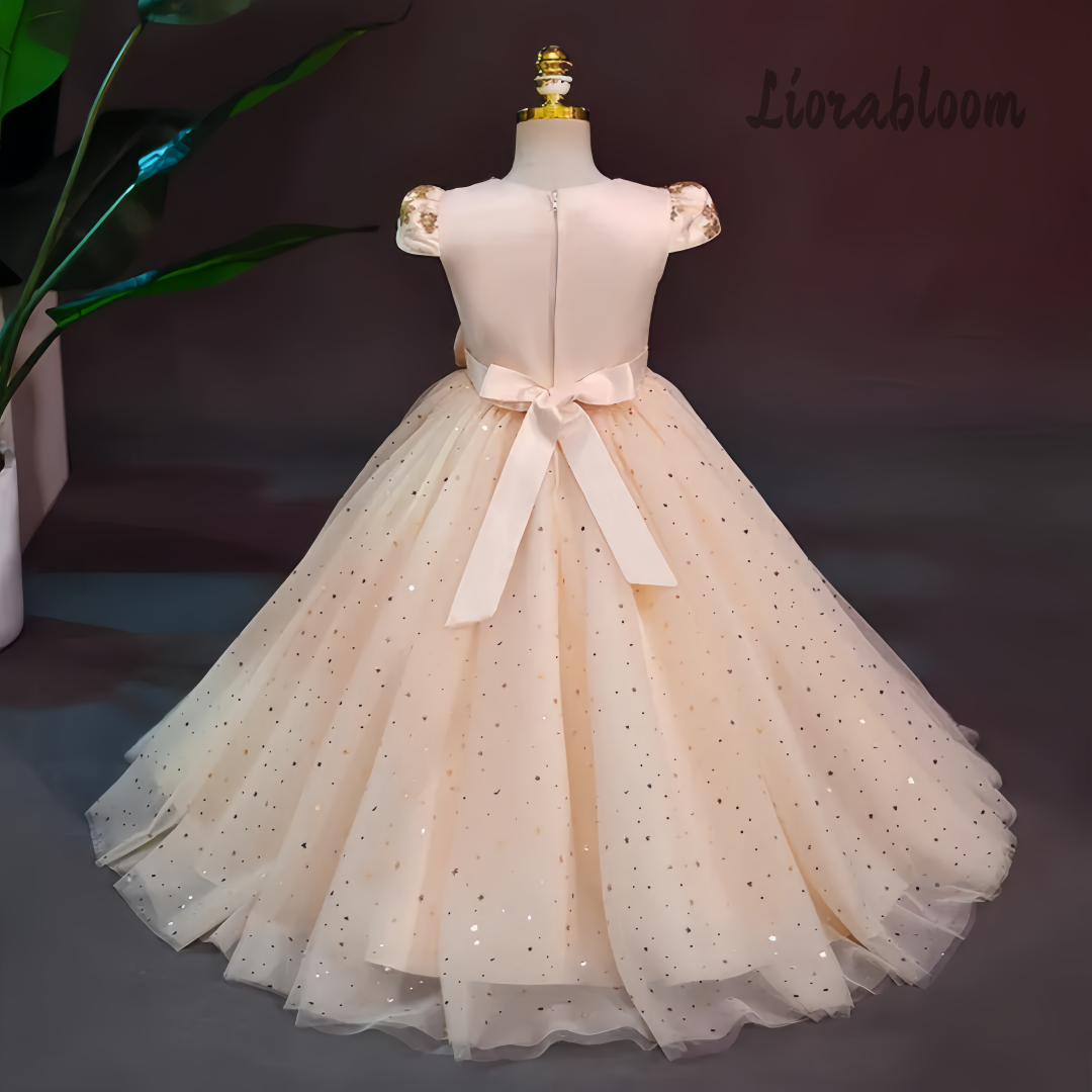 Formal Multicolor Evening Gown - مراجعة Women'S Formal Wear For Girls وسعره