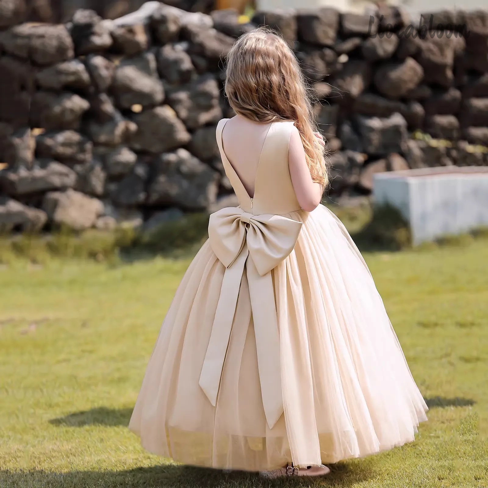 Multicolor Backless Princess D - مراجعة Women'S Formal Wear For Girls وسعره