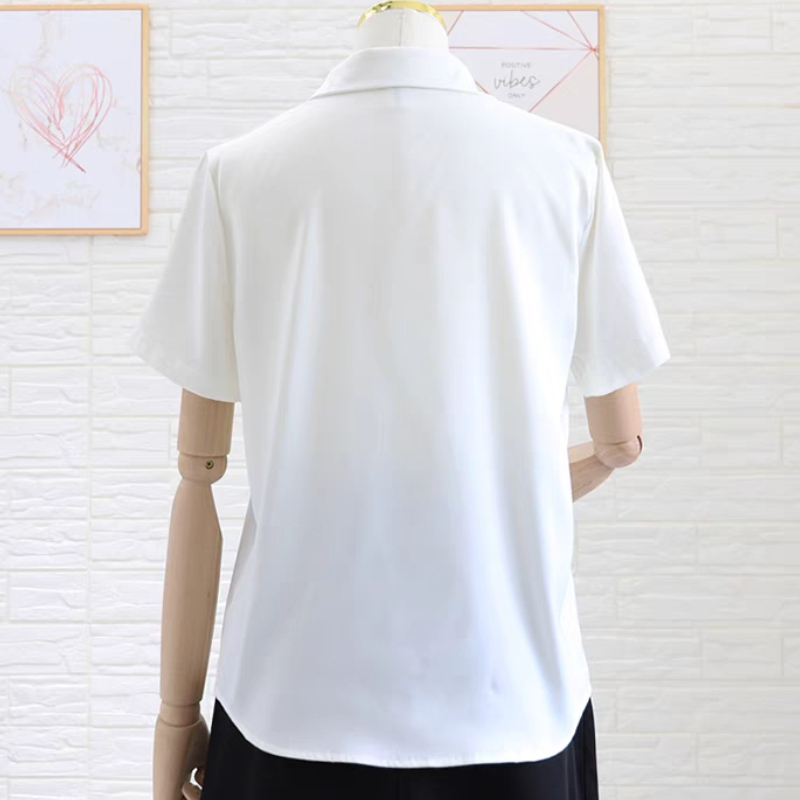 S-5XL Shirts Women Office Lady - مراجعة Women'S Formal Day Wear وسعره